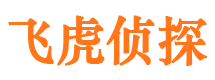 丰都市侦探